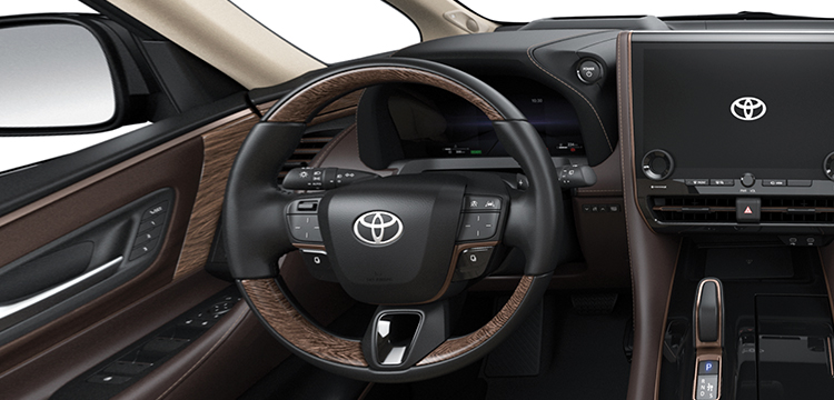 ALPHARD LUXURY